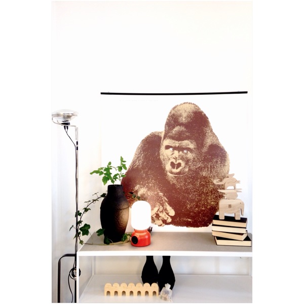 Quindici, IL Gorilla by Danese Artemide Design Accessories